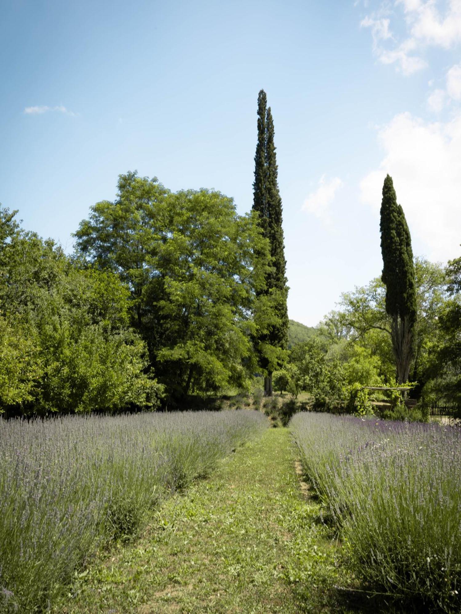 Glamping Dragonja River Šmarje Εξωτερικό φωτογραφία