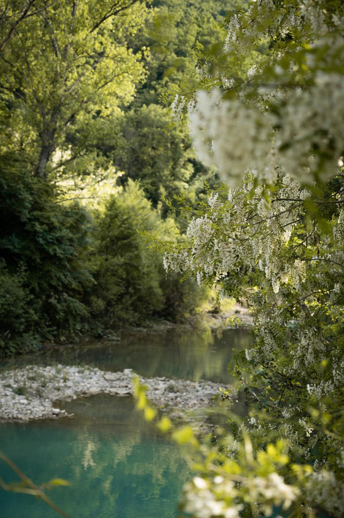 Glamping Dragonja River Šmarje Εξωτερικό φωτογραφία