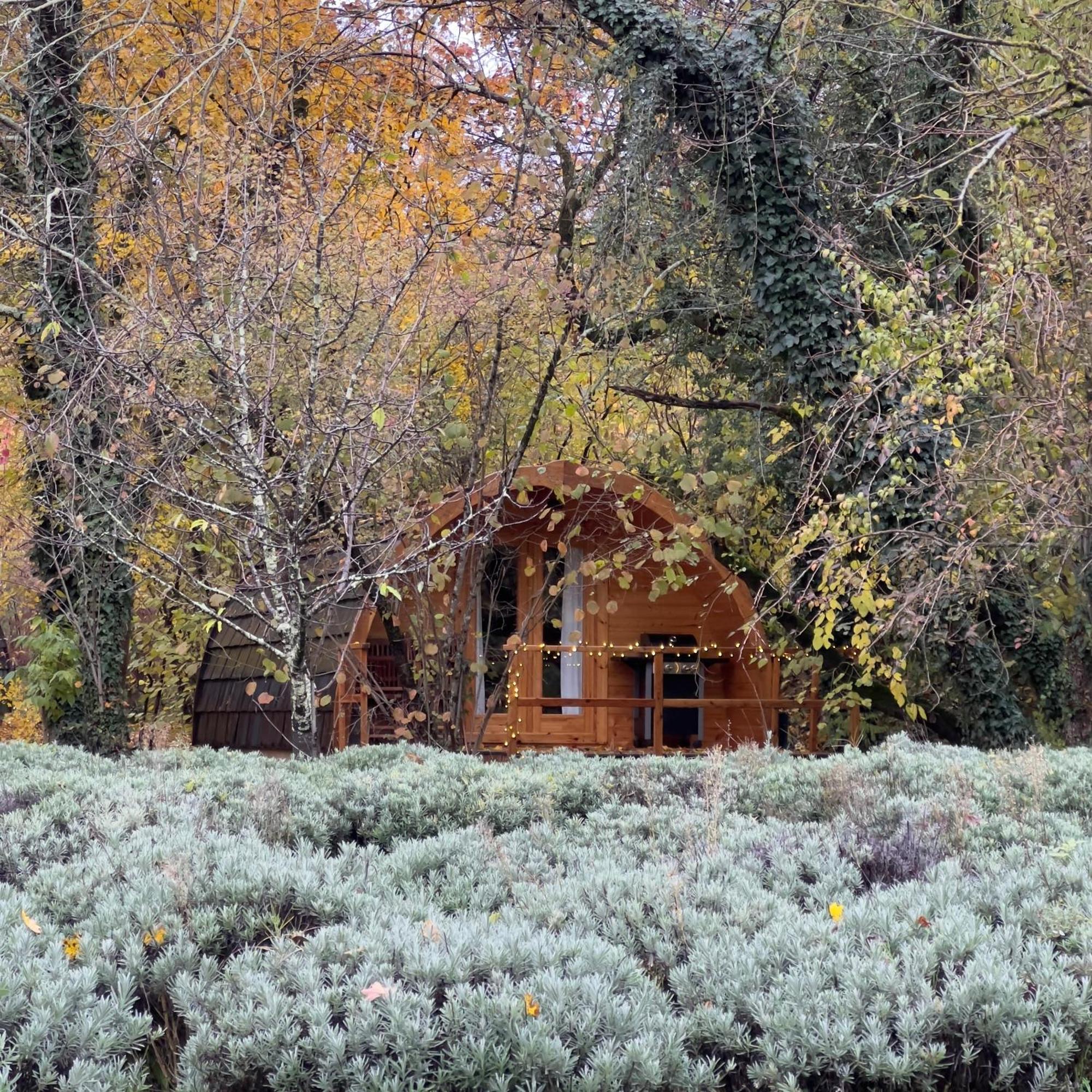 Glamping Dragonja River Šmarje Εξωτερικό φωτογραφία